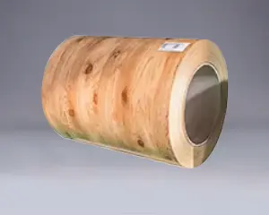Egur aleak PPGI PPGL Bobina